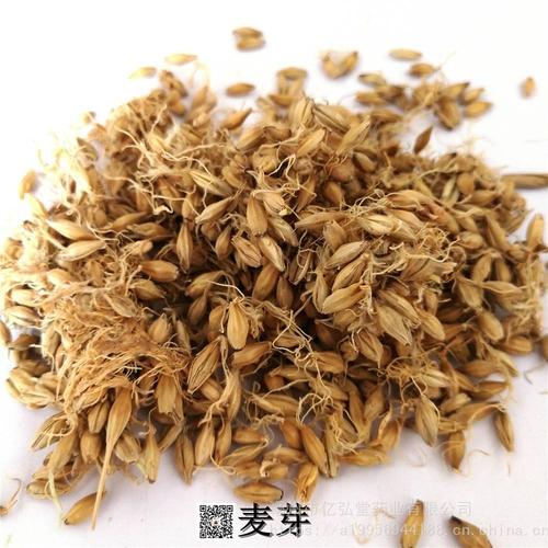 中药材麦芽/大麦芽/大麦糵/麦糵/大麦毛/大麦芽 品质可靠