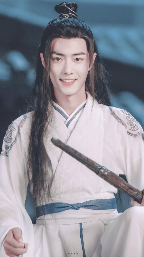 白衣少年魏无羡