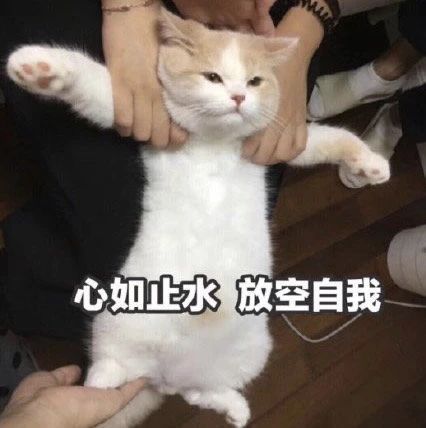 最新表情包图片:心如止水,学会放空自我