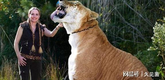 所以从这里可以看出,杂交不应该是一种低劣办法,而应该是一种物种为