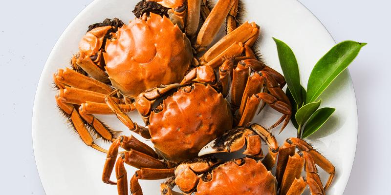 第十六届中国洪泽湖大闸蟹节成功举办