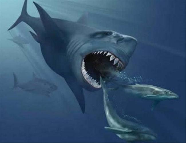 力量的物种之一,它是一种生活在大概2500万-200万年前的一种巨型鲨鱼