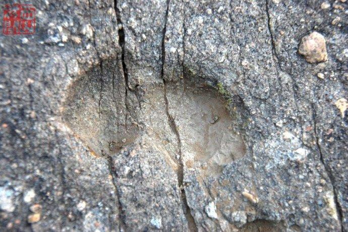 金秋十月走赤城样田杨洪墓恐龙足迹化石342