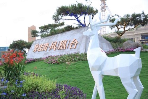 徐州碧桂园凤凰台-实景图(37) - 徐州安居客