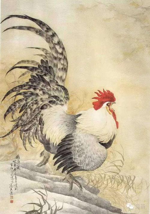 芦花鸡的尾上复羽: 先以淡墨画出,逐步加重染成.