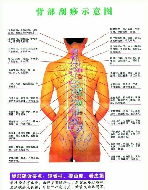 盲人按摩优点;恢复体力,减轻疲劳,增强人体血液循环,增强人体抗病能力