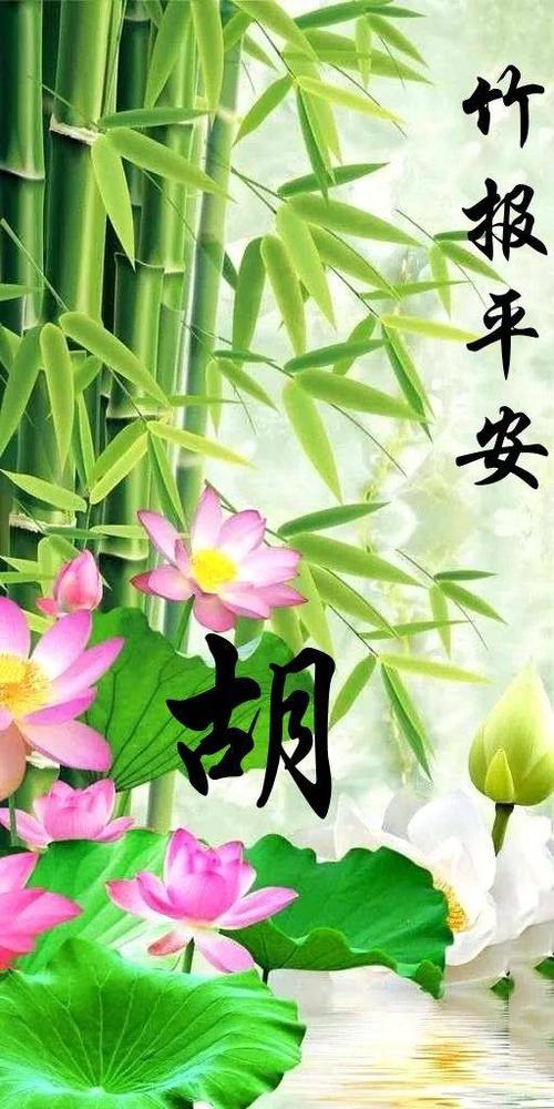 小编姓胡 所以每期的壁纸里 都有胡姓