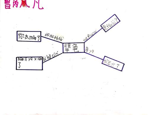 《犟龟》思维导图