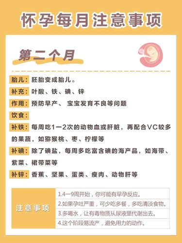 孕期知识|怀孕每月所需营养及注意事项!