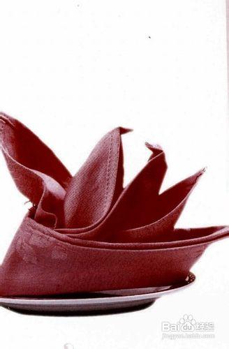 餐巾折花大全第五辑