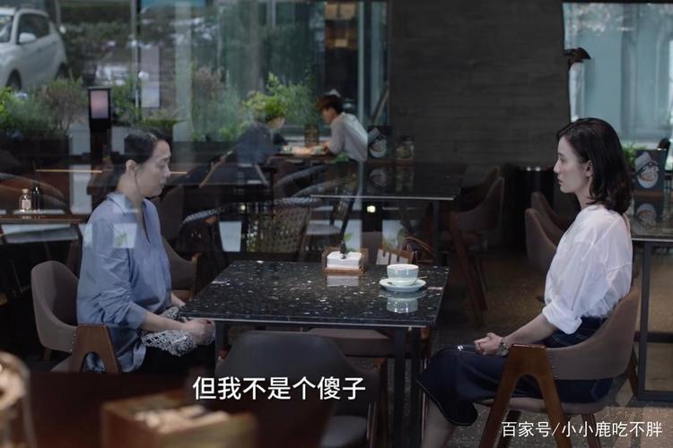 小舍得:田雨岚求南俪接走蔡菊英,用欢欢作为"交易",南