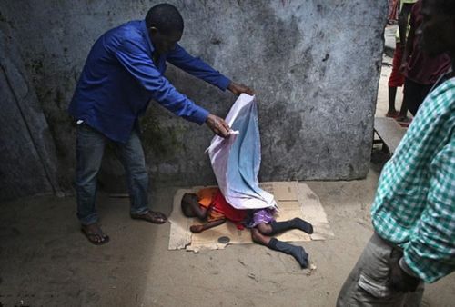 埃博拉病理 埃博拉的形态结构