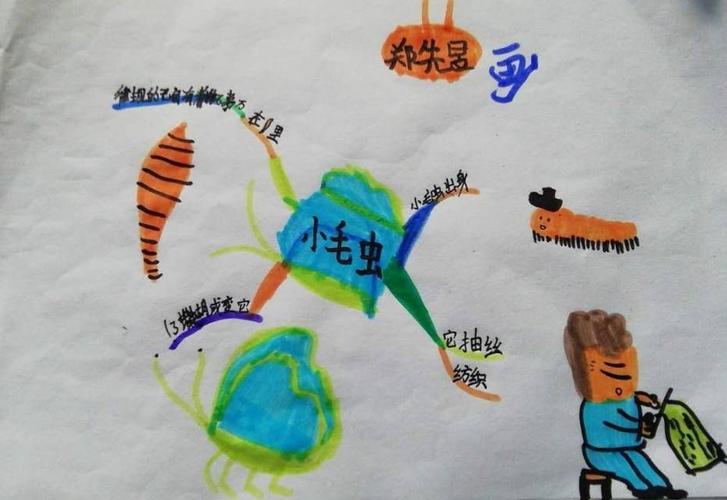 小毛虫思维导图