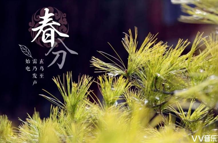 苍穹宇空风雨"始电" 豪情雷公潇洒龙脉剑影 春菜春汤 游山玩水踏青