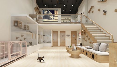 壹家猫咖室内设计