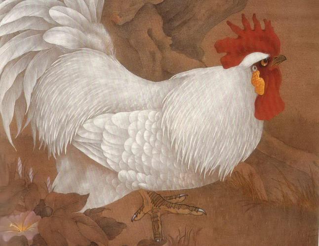 jpg (49.22 kb) 2008-5-29 14:11    芦花鸡的尾上复