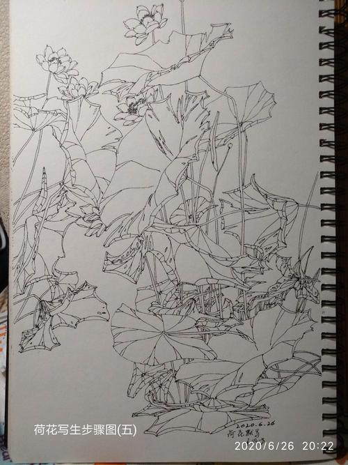 线描写生步骤图