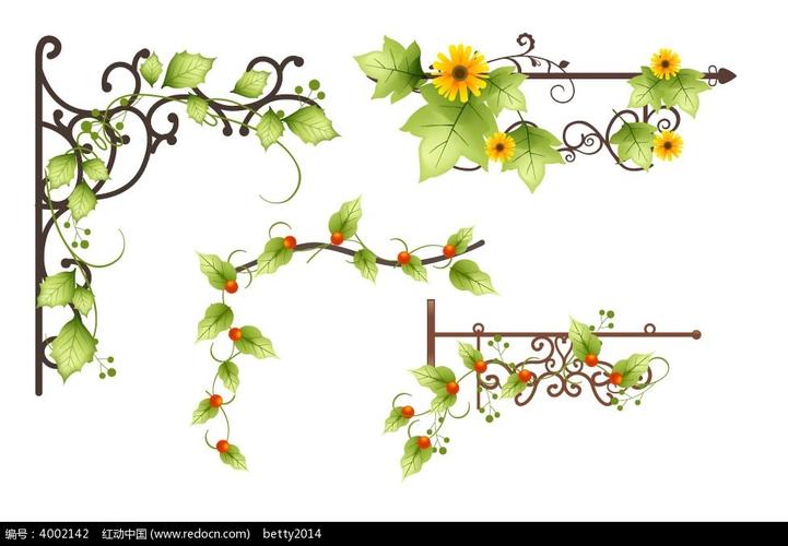 花朵和藤蔓矢量边框