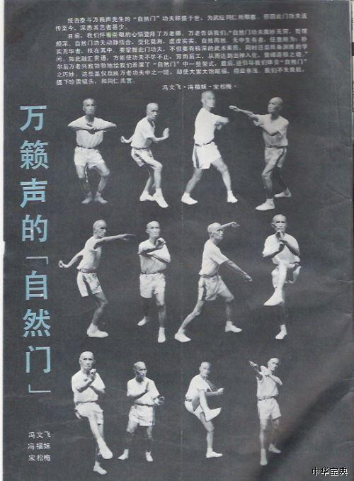 自然门武术