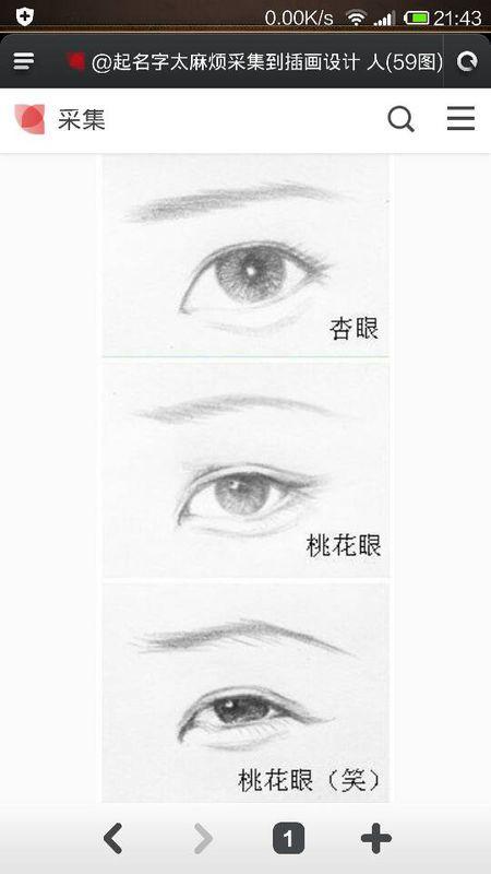 求各种眼睛名称(要图片)