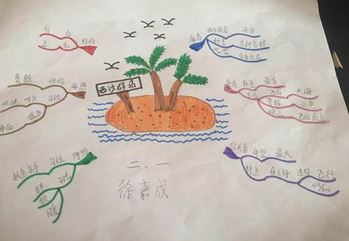 《西沙群岛的鸟》思维导图