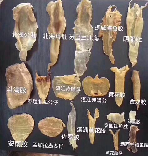 答:现在市面上常见的花胶种类有北海公/母胶,双背胶,阴阳胶,鳘花胶