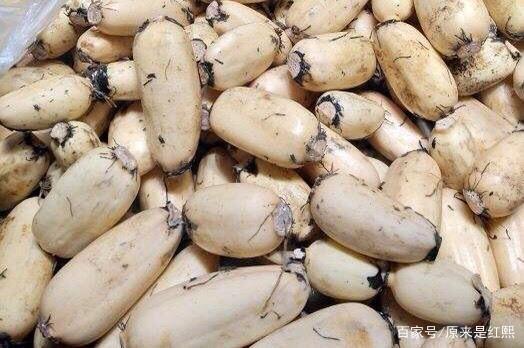 吃了30年莲藕,才知道莲藕分7孔和9孔,怪不得做的菜没