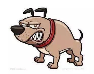 春夏两季是狗狗伤人的高发季 最近一段时间 国内传出多起恶狗伤人事件