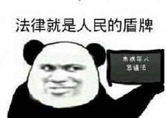 未成年人装逼法:法律就是人民的盾牌