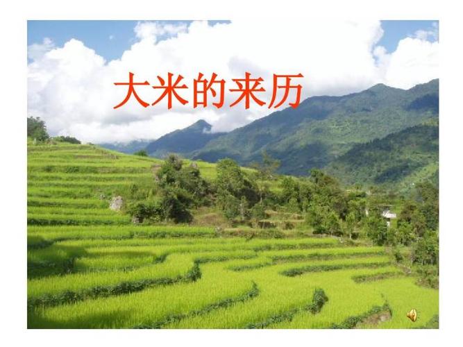 大米的由来