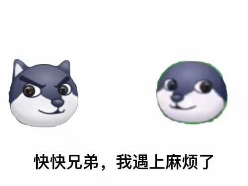 狗头小剧场:新狗头卡包2_卡包_狗头卡包_素材_表情包