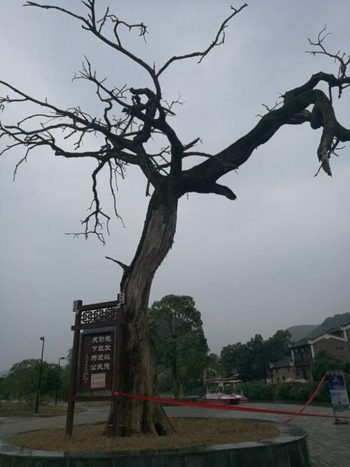 千年古村:永州上甘棠村