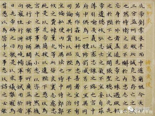 硬笔《出师表》78cm×20cm