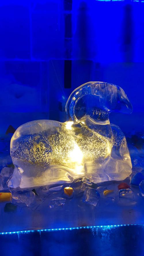 东北游之第五天晚上. 在哈尔滨参观冰雕大世界.赏冰乐雪.