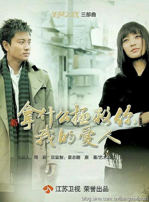 的爱人》韩丁                2009年                《家产》霍耀庭