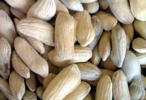 【批发 冷背 中药材 长寿果】价格_厂家_图片 -hc360