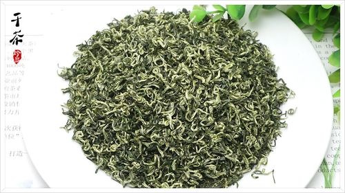 新茶 单芽碧螺春 明前绿茶 茶叶批发 非洞庭碧螺春厂家直销