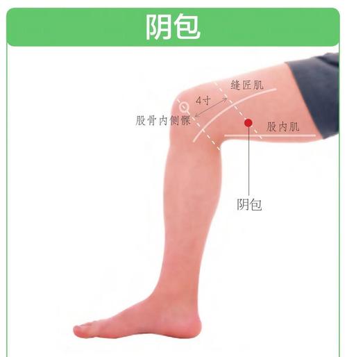 取穴位置 这个穴位位于大腿内侧,具体来说,就是在股骨内上髁上4茨的
