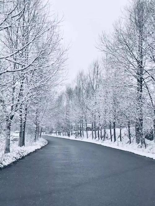 【今关注】雪天路滑,西宁火车站乘客排成百米长龙!还有.