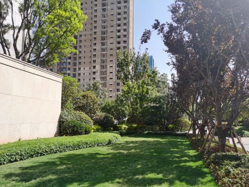 世茂璀璨臻樾,官南路,近南小路-昆明世茂璀璨臻樾二手