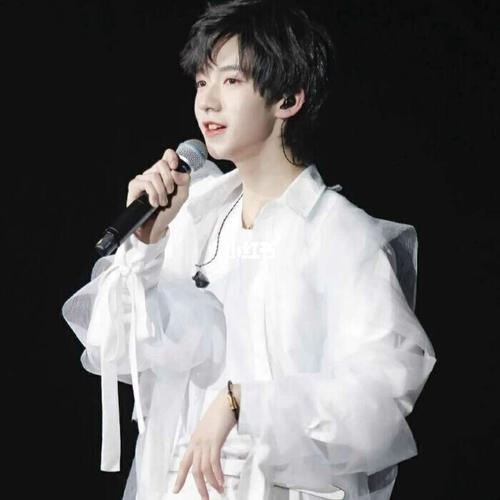 盘点贺峻霖的神仙图_贺峻霖_娱乐_明星娱乐资讯