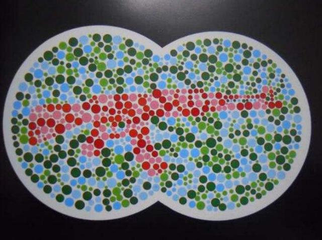 驾考常见色盲检测图,每个都很简单,看不出来就别浪费钱了