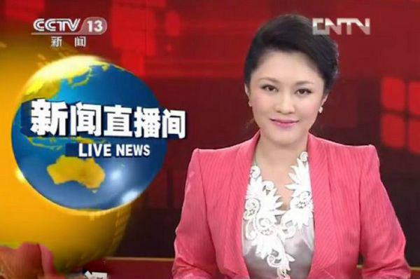 紫凝图片 央视主持人紫凝图片