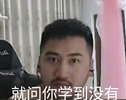 " "wdnmd真敢冲啊" give me zhu give me zhu 因为真实打动了我,我傻