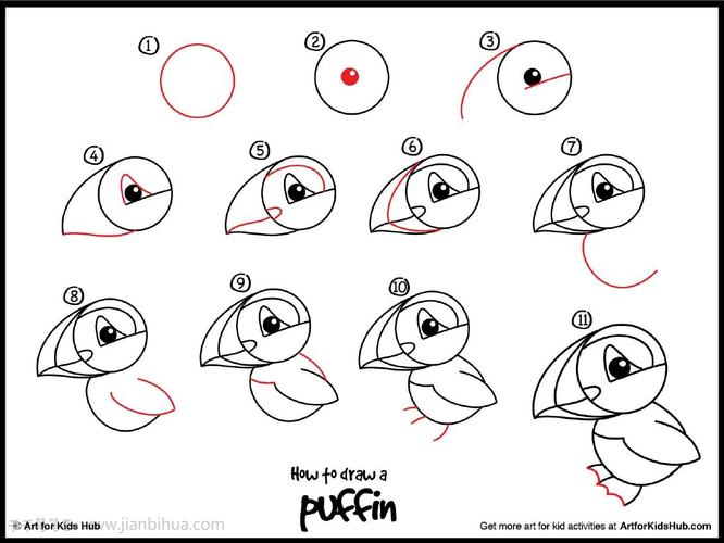 角嘴海雀简笔画