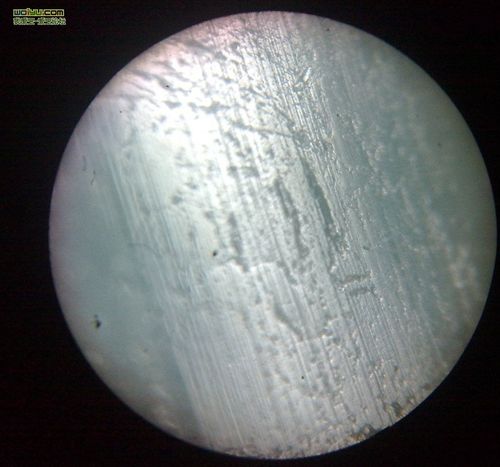 (47楼已补显微镜下拍的图,有经验的可看出是不是b了)