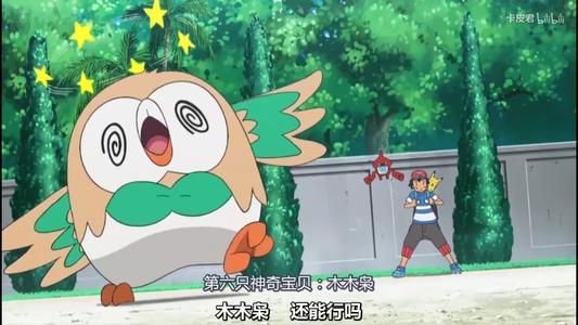 木木枭简笔画彩色