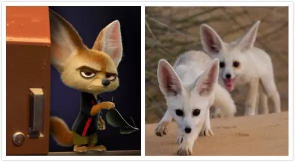 在电影中,夏奇羊是动物城中最为璀璨的一位明星,而在迪拜沙漠保护区