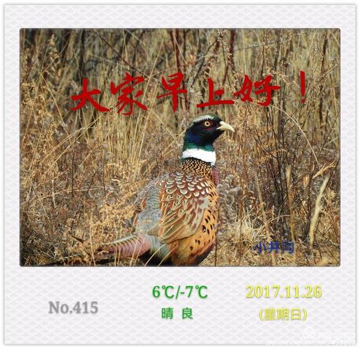 大家早上好!只要太阳放出光芒.最厚的乌云也会镶上金边!(5)