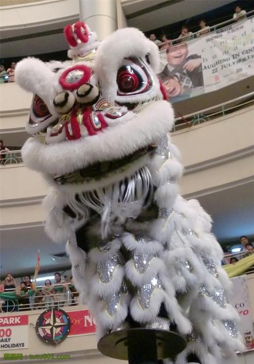 才艺人生